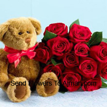 12 Inch Teddy with Lovely 12 Roses