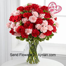 36 Elegant Carnations